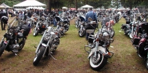 Bikes at Children's Run 7