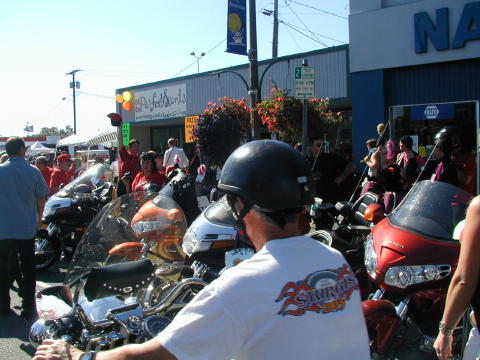 Crowds  