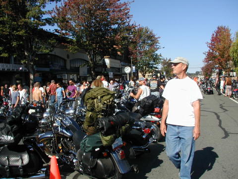 More bikes  