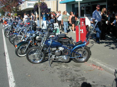 Flathead bobber 