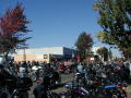 Oyster Run 