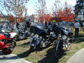BIkes parked everywhere  