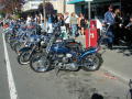 Flathead bobber 
