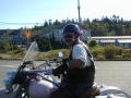 Buck on the road  