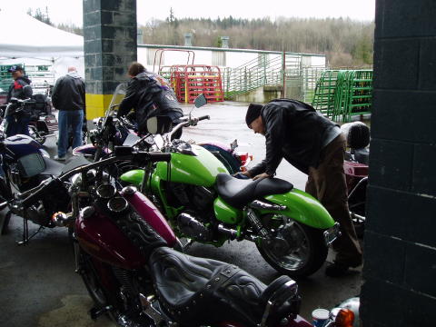 Show Bikes