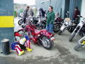 Show Bikes