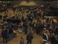 Crowd