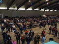 Crowd