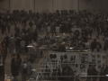 Crowd