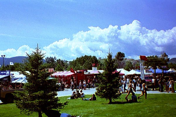 19_16.jpg